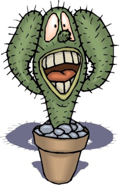 Смешной Кактус