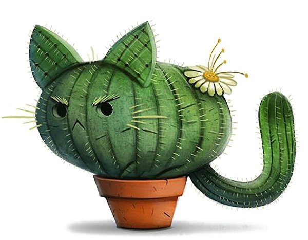 Кошка Кактус