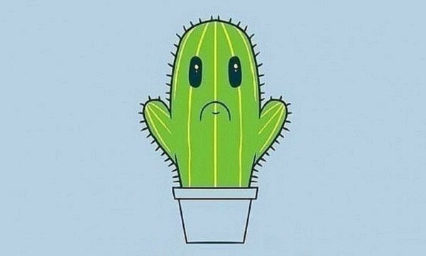 Грустный Кактус
