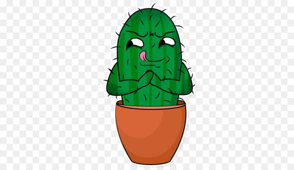 Злой Кактус