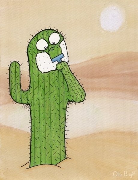 Бритый Кактус