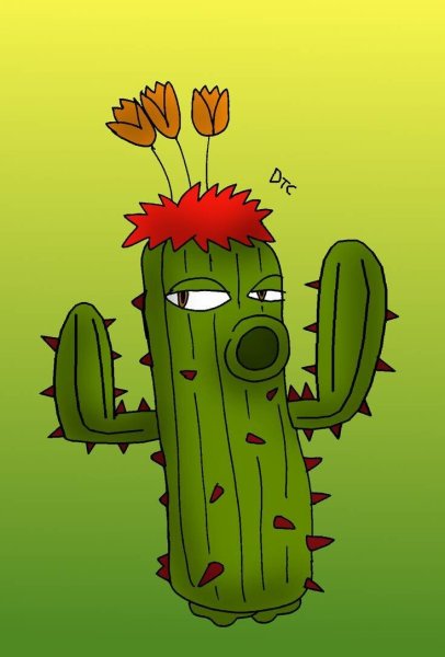 Смешной Кактус