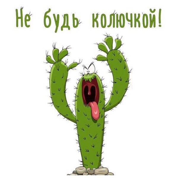 Открытка с кактусом