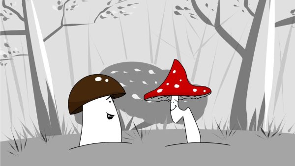 Мухомор прикол