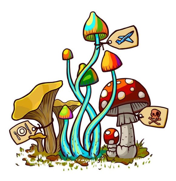 Инди КИД грибы