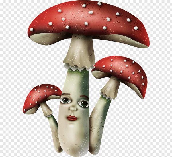 Веселый мухомор