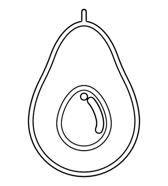 Раскраска авокадо