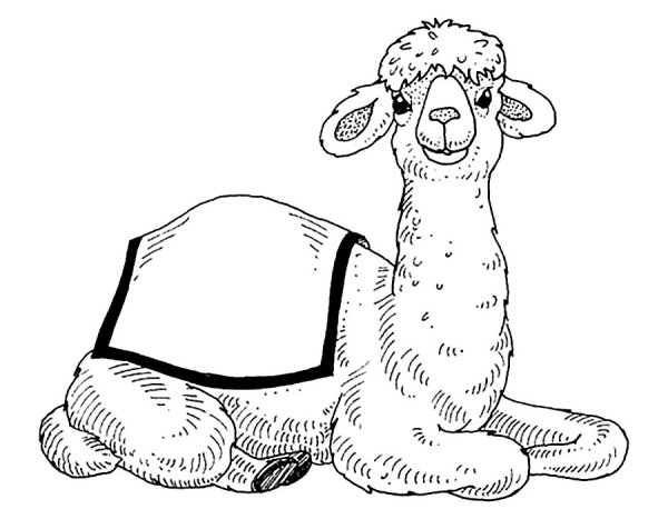 Рисунок пальмы и верблюдов