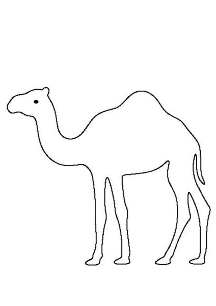 Верблюд Караван шелковый путь вектор