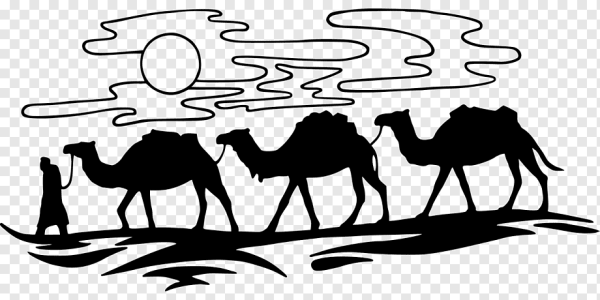 Верблюд трафарет для детей