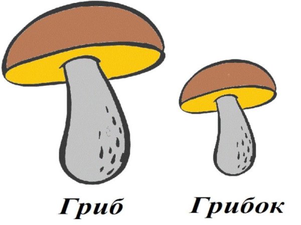 Большой и маленький гриб