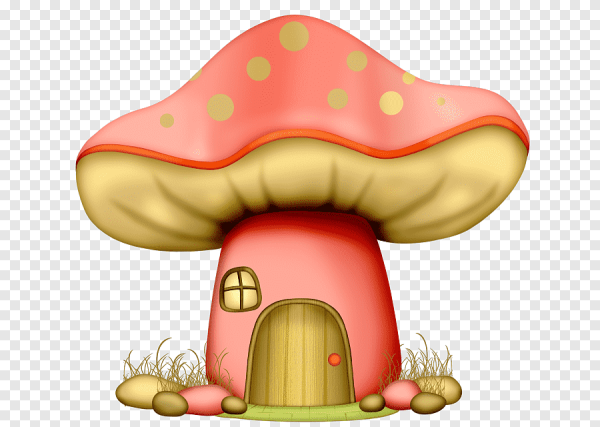 Сказочный дом гриб