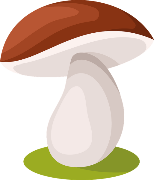 Грибы клипарт