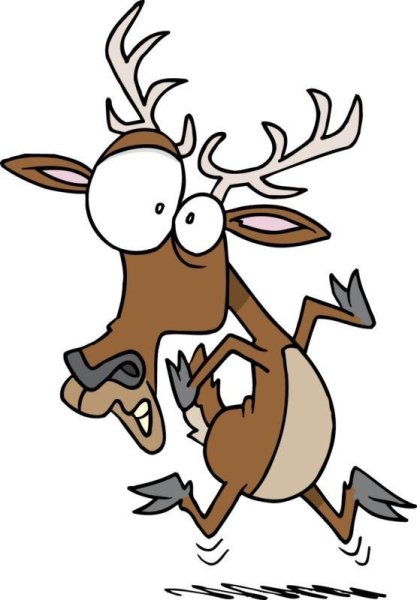 Испуганный олень