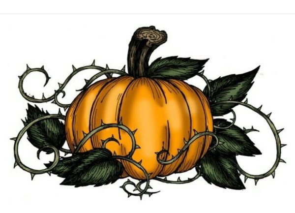 Тыква на Хэллоуин картинка для детей