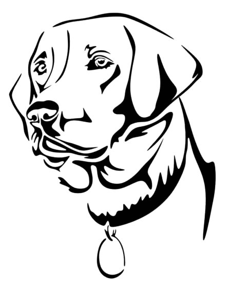 Лабрадор ретривер вектор