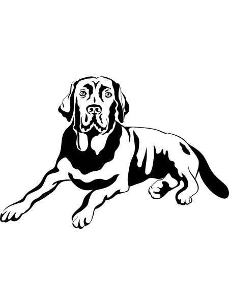 Наклейка лабрадор