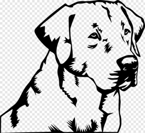 Трафареты для выжигания лабрадор