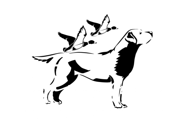 Векторные наклейки лабрадор