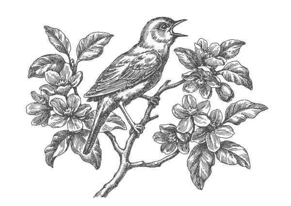 Соловей картина