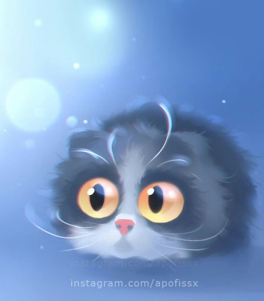 Милый чёрный котик