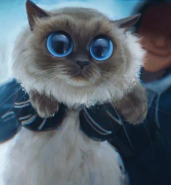 Мультяшные коты