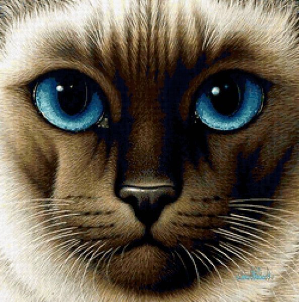 Котики мультяшные