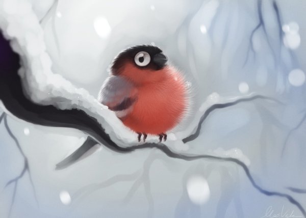 Милый Снегирь