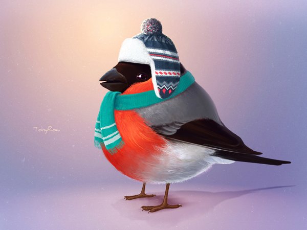 Смешной Снегирь