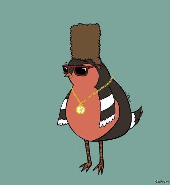 Снегирь негр