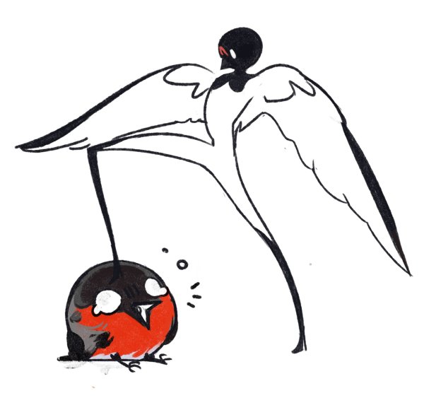 Снегири картинки нарисованные