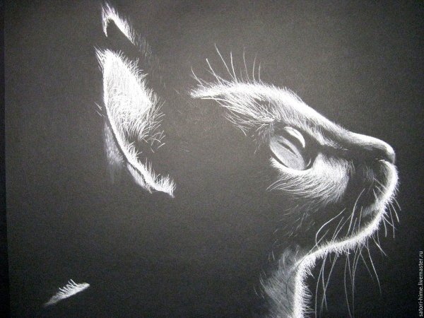 Рисование пастелью на черной бумаге