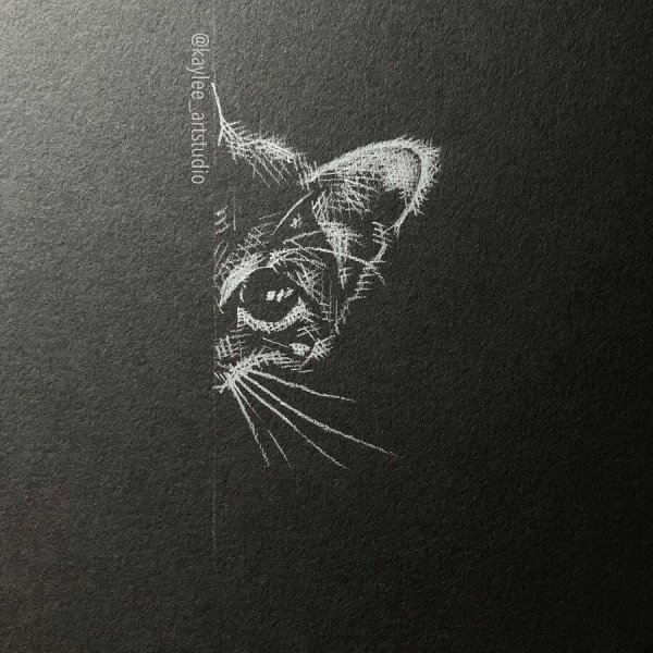 Рисунки на черной бумаге