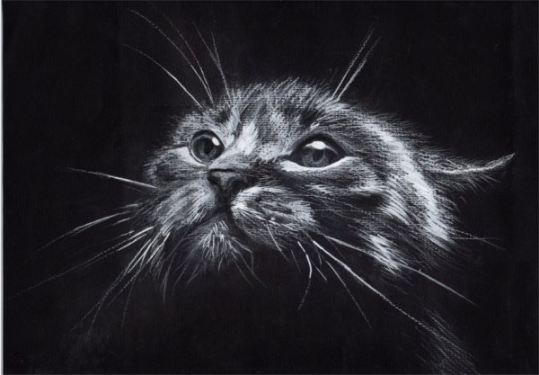 Пастель на черной бумаге