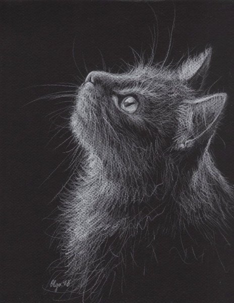 Рисование пастелью на черной бумаге