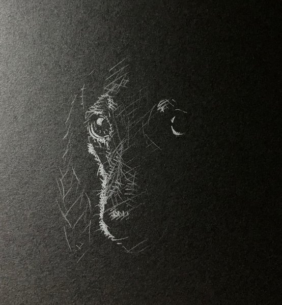 Иллюстрации на черной бумаге