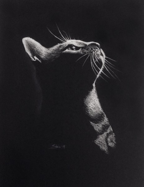 Рисование пастелью на черной бумаге