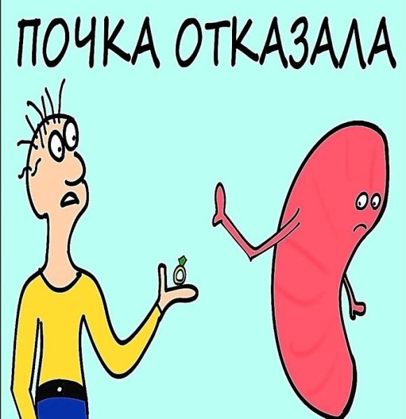 Веселые фразеологизмы в картинках