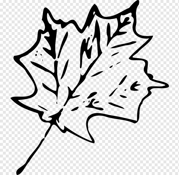Лист клена черно белый