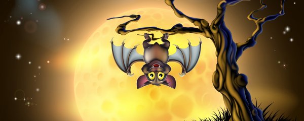 Летучая мышь рисунок