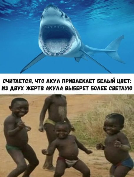 Смешные картинки с надписями