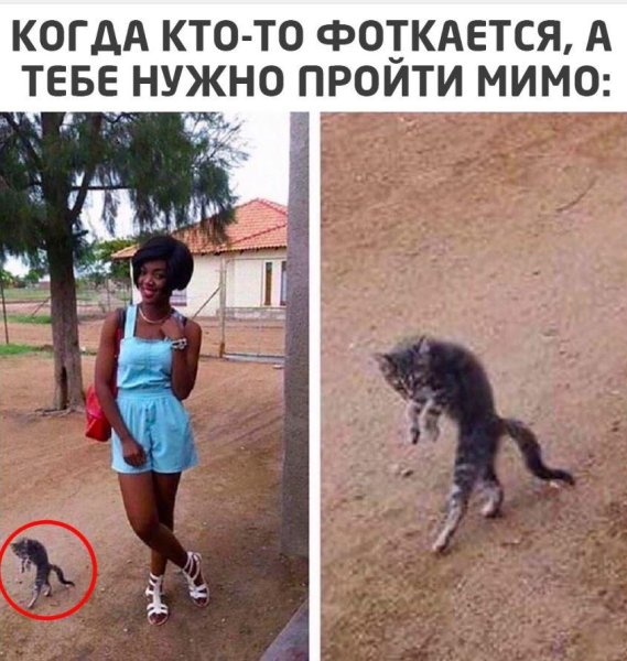 Картинки приколы до слез