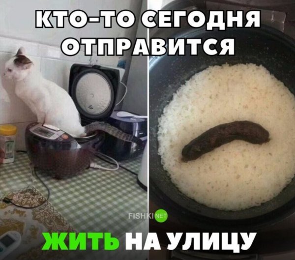 Смешные картинки с надписями до слёз