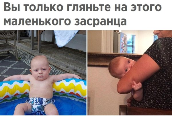 Картинки смешные до слез