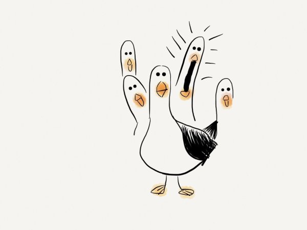 Смешные Чайки рисунок