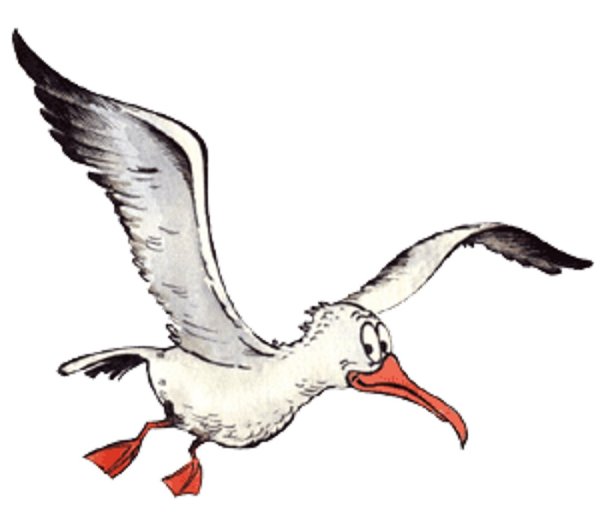 Чайка рисунок для детей