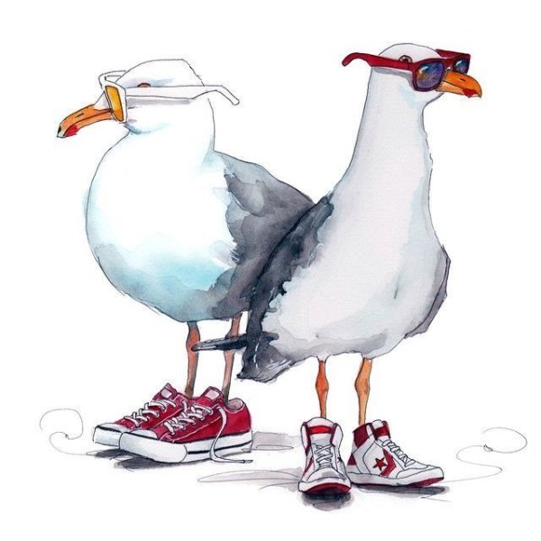 Смешные нарисованные Чайки