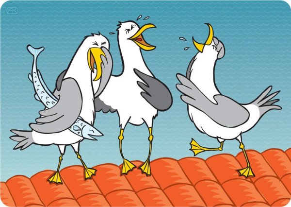 Чайки карикатура