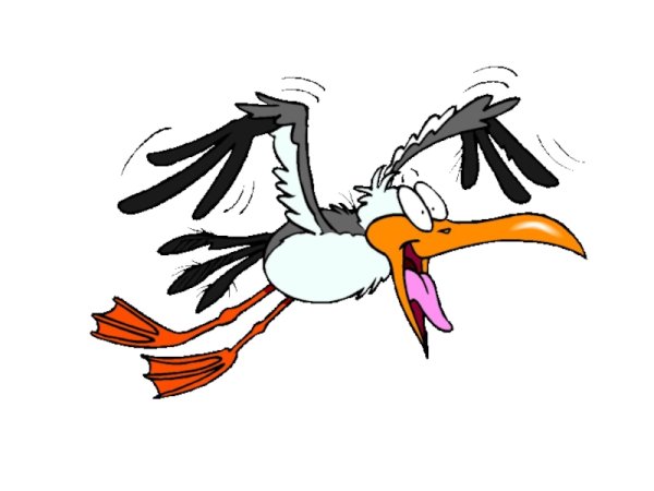 Чайки карикатура