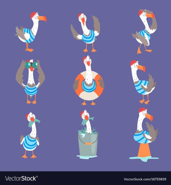 Смешные Чайки Рисованные